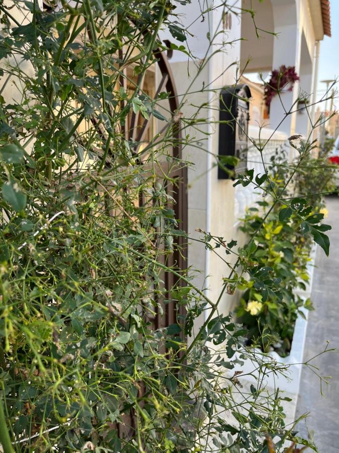 La Marina Urb, Beautiful 4 Bedroom House, Alicante, San Fulgencio, Spain Εξωτερικό φωτογραφία